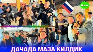 Туй калужская область Боровский район .10,11,2024