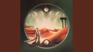 The Last Seagull on Earth