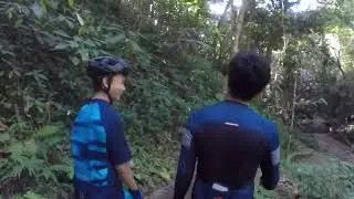 Makiling Botanic Gardens 2