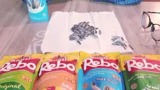 Kuaci Rebo