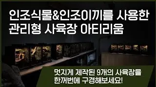 [크레사육필수시청코스]한번에 9개 사육장 소개해요! 크레가  살게 될  모두 다른 느낌의 아티리움 사육장입니다!  환경이 완벽해야 건강하고 행복한 크레를 볼 수 있어요