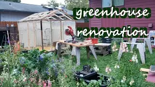 Converting our shed into a greenhouse!