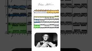 Martinů Harpsichord Concerto - Allegretto 2/2