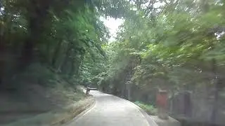 Железноводск. По терренкуру между Развалкой и Железной.