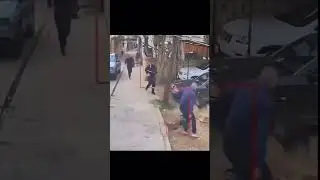 Dog attack on kid #babyvideos #viralshorts #reels