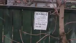 Курьезы по дороге на Лобненский переезд