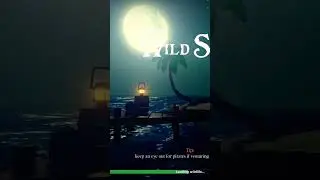 Playing The Wild Seas (Early Alpha)