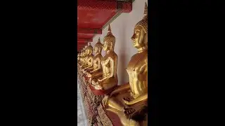 #shorts Wat Po Temple walk in Bangkok, Thailand
