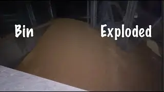 Looks Like the Bin Exploded