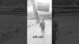 ভাই বোনের কত সুন্দর খেলা