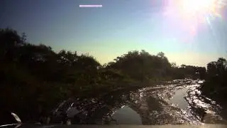 На нарву Trimmed