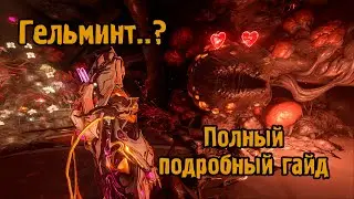 Гельминт в Варфрейм - Кто такой, зачем нужен? Полный гайд