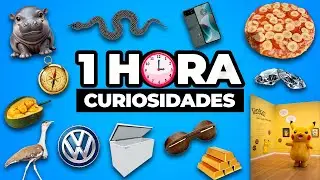 ¡1 HORA De DATOS CURIOSOS y CURIOSIDADES Del Mundo Qué No SABÍAS! ⏰😲#29