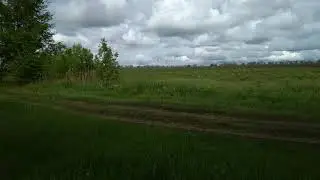 Кочёвка на рапс. Мусор.