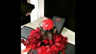 Роза в колбе King