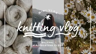 vlog 21/24 | довязала свитер с одуванчиками🧶 новая пряжа ✨️ начала летний свитер и планы на вязание