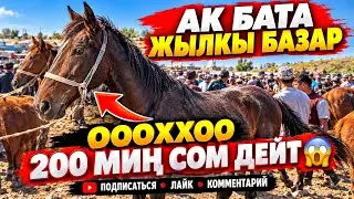 АК БАТА ЖЫЛКЫ БАЗАРЫ БААЛАРЫ АРЗАН ДЕШТИИ 