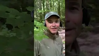 АРТЕФАКТ В ДЕРЕВЕ!