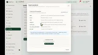 CuePoint Help — Importing Customers & Products from CSV