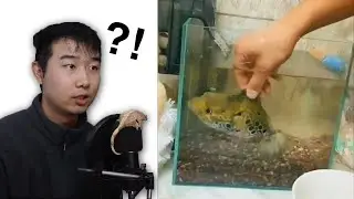 FISH 👏 TANK 👏 REVIEW 👏 EP 61 - 70 COMPILATION