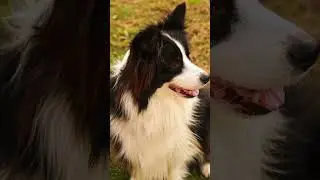 Gracias por la buena onda y por la linda historia! Hermoso