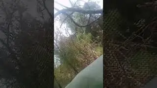 I'm the MAAAaap!