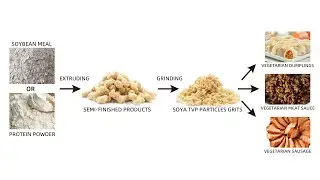 SOYA TVO PARTICLES GRITS  PROCESSING
