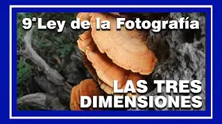 LA PROFUNDIDAD en la foto. Explicación de LAS 3 DIMENSIONES  en la fotografía con ejemplos