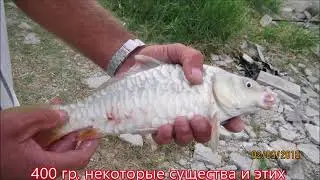 Ак гель 020918.