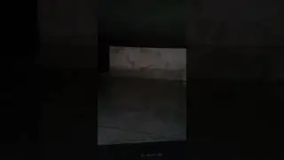 ada makhluk aneh
