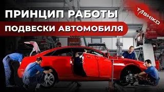 Принцип работы подвески автомобиля. Основные функции подвески. Рейтинг неисправностей подвески