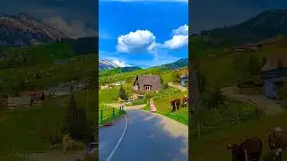 Beautifull view of Zurich Switzerland #zurich #zurich_switzerland #switzerland