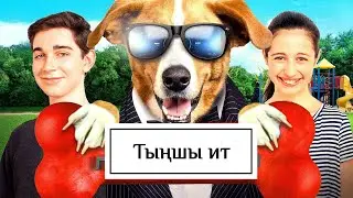 Тыңшы ит | Қазақша кино | Толық нұсқа! фильм (2019)