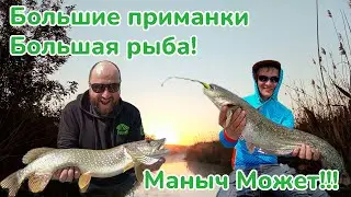 Большая щука на Маныче / Большие приманки большая рыба / Трофеи Реки Маныч / Рыбалка на Маныче