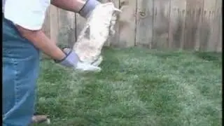 Coping Stones for Your Living Pond