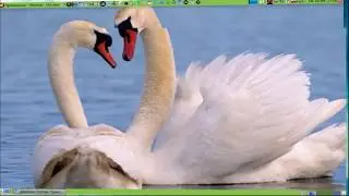 Matuntu - X32 - Compiz