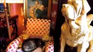 Умиротворенный сон под надежной охраной / The pacified dream under reliable protection