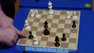 Фора 41. Урок 3. Как научить детей играть в шахматы