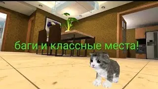 баги и нычки в котенок кошка симулятор 3д