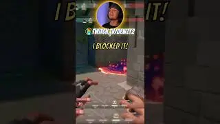 Body block lvl 100 #valorant #shorts #valorantshorts #pcgaming #pcgamers #valorantclips #fps #funny