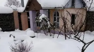 #vlog / Один день у родителей/ Деревня