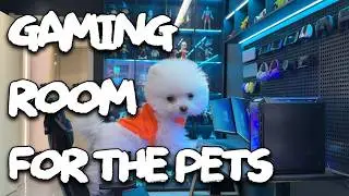 Building a Mini-Gaming Room in the Mini-House #pets #kawaii
