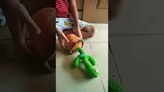 boneka kaktus viral