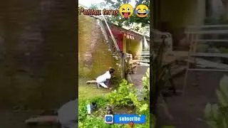 ngintip tetangga mlh dikagetin Bocil😜😂