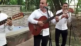 1/4 para el Arte Transmisión en vivo de extensión cultural Universidad Surcolombiana.