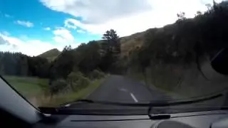 Dashcam: Hawk in the middle of the road eating road kill