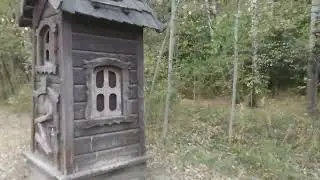Обзор сентябрьского лесопарка