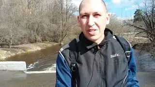The forest, the flood and 500 subscribers