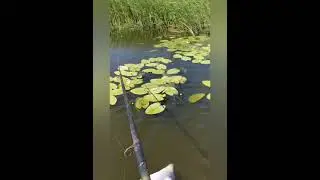 Рыбалка
