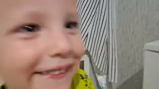 бешеный кот 1